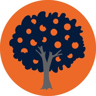Orange Tree Golf Course